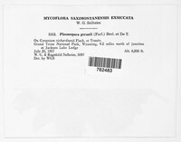 Image Associated With the Occurence
